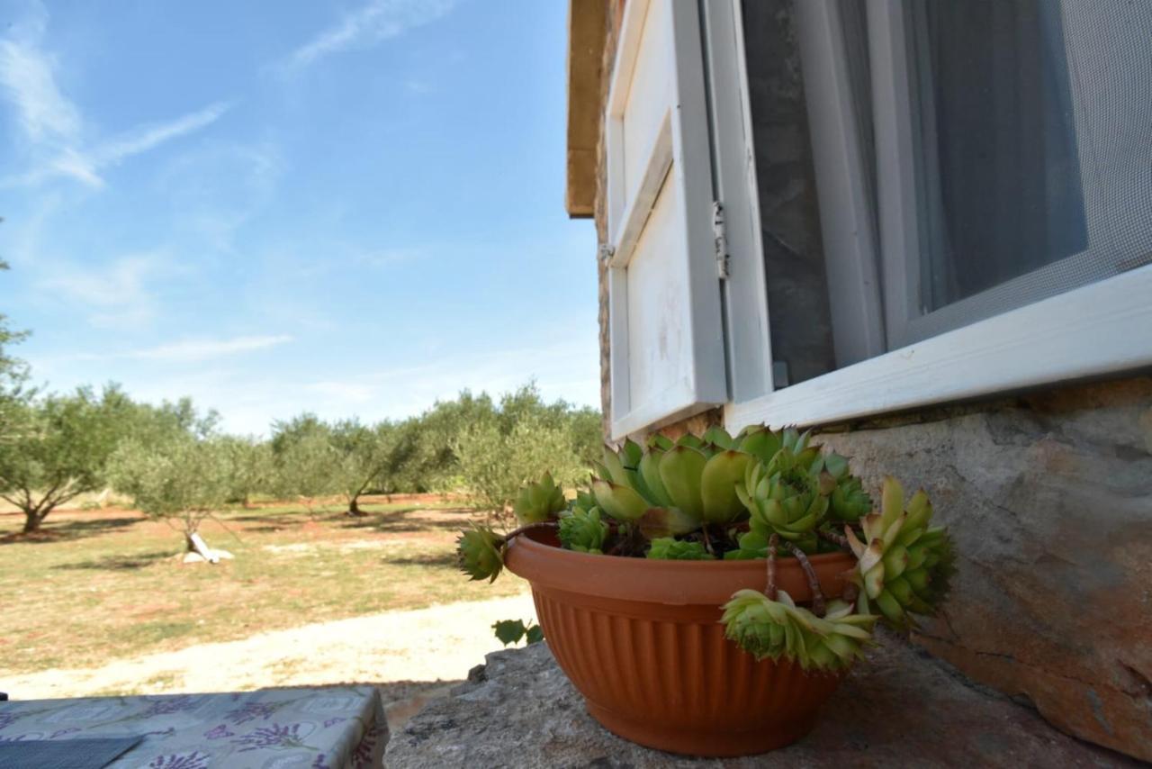 Cottage Rugonj Stari Grad  Esterno foto