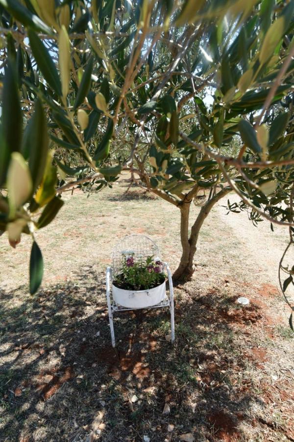 Cottage Rugonj Stari Grad  Esterno foto